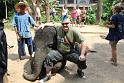 Thailand2013 107 ChiangMai ElephantCamp17