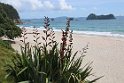 109 New Zealand2017 Hahei Beach