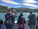 339 New Zealand2017 Wellington Ferry Interislander