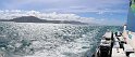 342 New Zealand2017 Wellington Ferry Interislander