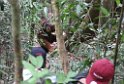 Indonesien 2018 053 BukitLawang JungleTrek