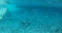 Seychellen 19 481 LaDigue Schnorcheltrip Félicité Seychellen 19 481 LaDigue Schnorcheltrip Félicité