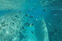 Seychellen 19 482 LaDigue Schnorcheltrip Félicité Seychellen 19 482 LaDigue Schnorcheltrip Félicité