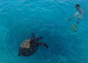 Seychellen 19 483 LaDigue Schnorcheltrip Félicité Seychellen 19 483 LaDigue Schnorcheltrip Félicité