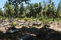 Seychellen 19 501 LaDigue Old Cemetery