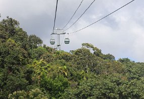 australien25_178_Cairns_Skyrail null