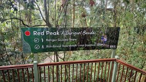 australien25_181_Cairns_Skyrail null